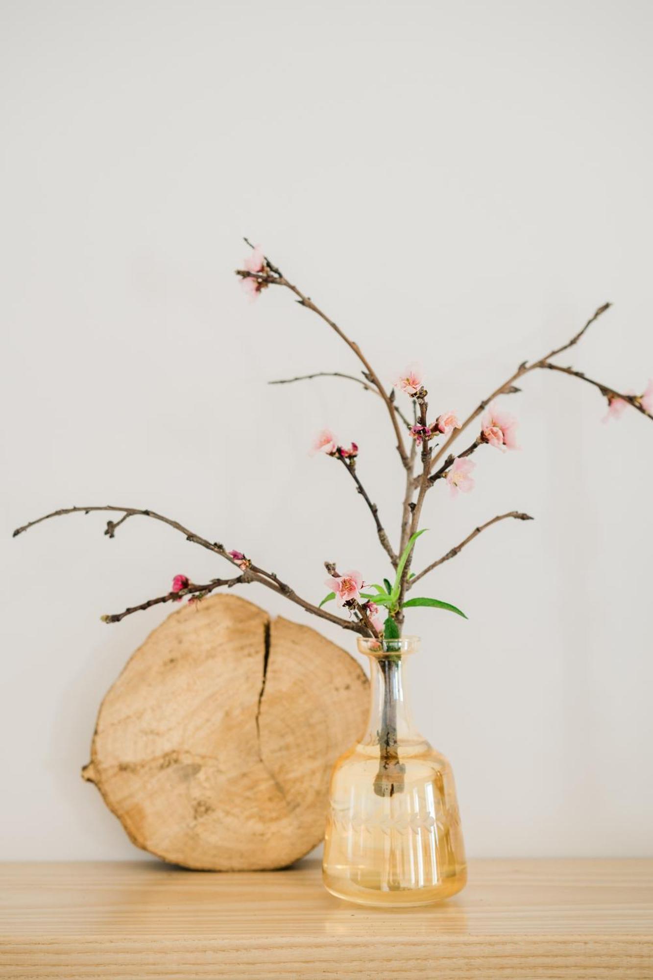 카니코 Casa Ti'Rosa 빌라 외부 사진